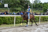 Immagine <b>REG_9244</b>